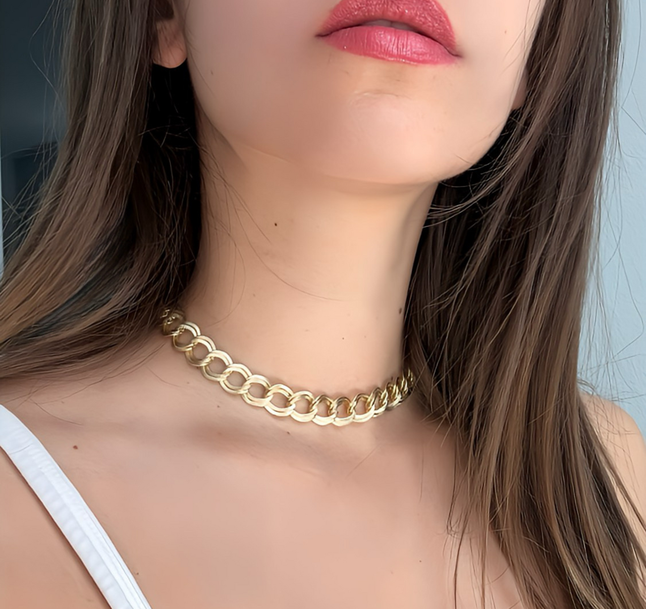 Double Link Choker Necklace